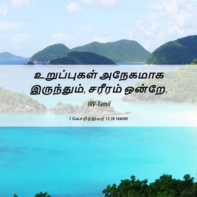 Picture 06 - 1 கொரிந்தியர் 12:20 TAMIRV - உறுப்புகள் - Bible Verse Picture