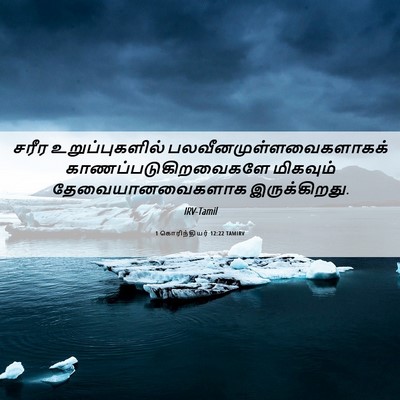 Picture 06 - 1 கொரிந்தியர் 12:22 TAMIRV - சரீர உறுப்புகளில் - Bible Verse Picture