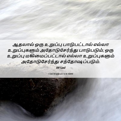 Picture 06 - 1 கொரிந்தியர் 12:26 TAMIRV - ஆதலால் ஒரு - Bible Verse Picture