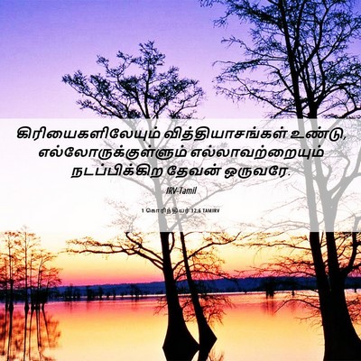Picture 06 - 1 கொரிந்தியர் 12:6 TAMIRV - கிரியைகளிலேயும் - Bible Verse Picture