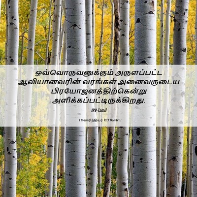 Picture 06 - 1 கொரிந்தியர் 12:7 TAMIRV - ஒவ்வொருவனுக்கும் - Bible Verse Picture
