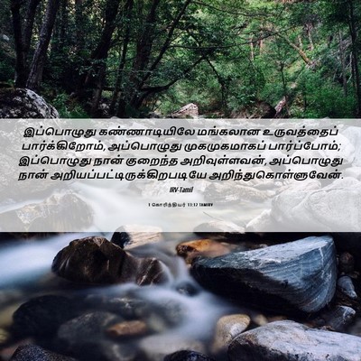 Picture 06 - 1 கொரிந்தியர் 13:12 TAMIRV - இப்பொழுது - Bible Verse Picture