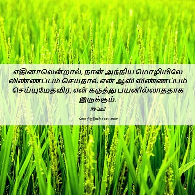 Picture 06 - 1 கொரிந்தியர் 14:14 TAMIRV - எதினாலென்றால், - Bible Verse Picture
