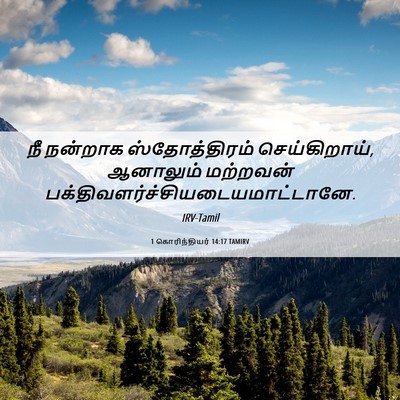 Picture 06 - 1 கொரிந்தியர் 14:17 TAMIRV - நீ நன்றாக - Bible Verse Picture