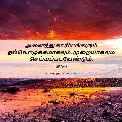 Picture 06 - 1 கொரிந்தியர் 14:40 TAMIRV - அனைத்து - Bible Verse Picture