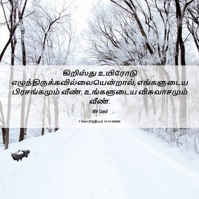 Picture 06 - 1 கொரிந்தியர் 15:14 TAMIRV - கிறிஸ்து உயிரோடு - Bible Verse Picture