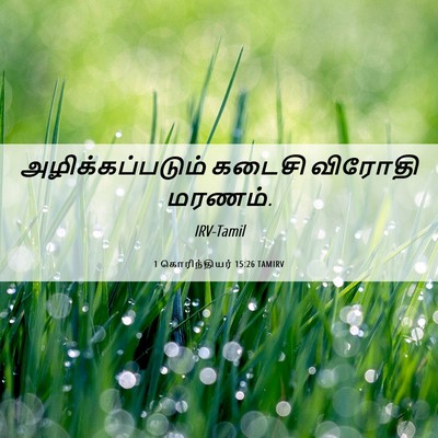 Picture 06 - 1 கொரிந்தியர் 15:26 TAMIRV - அழிக்கப்படும் - Bible Verse Picture