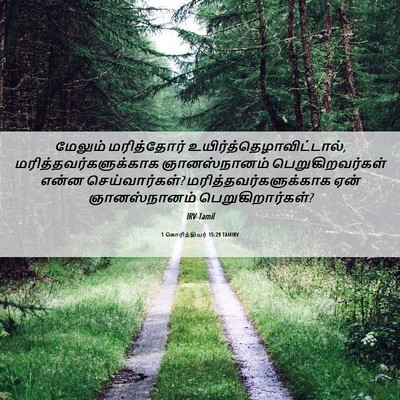 Picture 06 - 1 கொரிந்தியர் 15:29 TAMIRV - மேலும் மரித்தோர் - Bible Verse Picture
