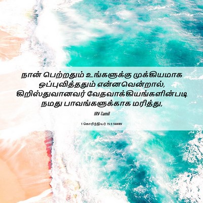 Picture 06 - 1 கொரிந்தியர் 15:3 TAMIRV - நான் பெற்றதும் - Bible Verse Picture