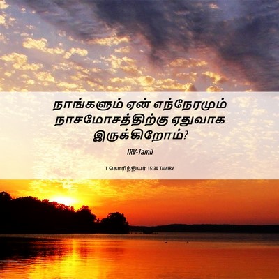 Picture 06 - 1 கொரிந்தியர் 15:30 TAMIRV - நாங்களும் ஏன் - Bible Verse Picture