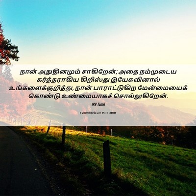 Picture 06 - 1 கொரிந்தியர் 15:31 TAMIRV - நான் அநுதினமும் - Bible Verse Picture