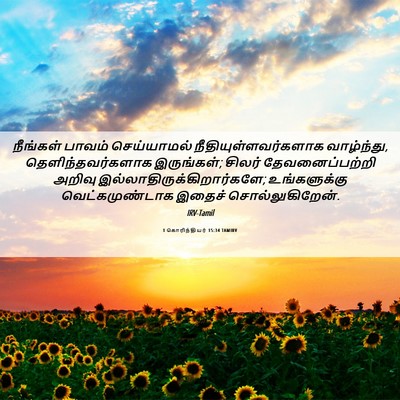 Picture 06 - 1 கொரிந்தியர் 15:34 TAMIRV - நீங்கள் பாவம் - Bible Verse Picture
