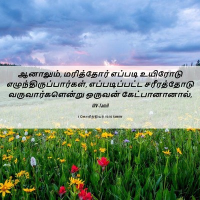 Picture 06 - 1 கொரிந்தியர் 15:35 TAMIRV - ஆனாலும், - Bible Verse Picture
