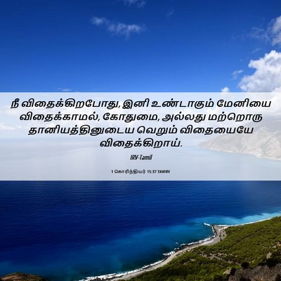 Picture 06 - 1 கொரிந்தியர் 15:37 TAMIRV - நீ விதைக்கிறபோது, - Bible Verse Picture