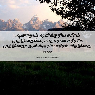 Picture 06 - 1 கொரிந்தியர் 15:46 TAMIRV - ஆனாலும் - Bible Verse Picture