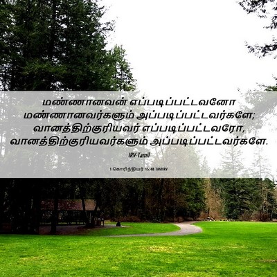 Picture 06 - 1 கொரிந்தியர் 15:48 TAMIRV - மண்ணானவன் - Bible Verse Picture