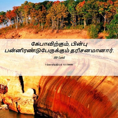 Picture 06 - 1 கொரிந்தியர் 15:5 TAMIRV - கேபாவிற்கும், - Bible Verse Picture