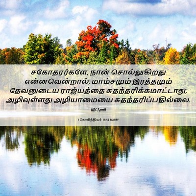 Picture 06 - 1 கொரிந்தியர் 15:50 TAMIRV - சகோதரர்களே, நான் - Bible Verse Picture