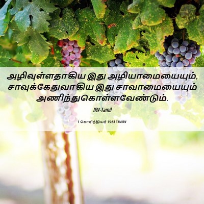 Picture 06 - 1 கொரிந்தியர் 15:53 TAMIRV - அழிவுள்ளதாகிய இது - Bible Verse Picture