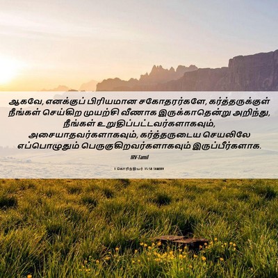 Picture 06 - 1 கொரிந்தியர் 15:58 TAMIRV - ஆகவே, எனக்குப் - Bible Verse Picture
