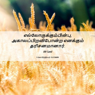 Picture 06 - 1 கொரிந்தியர் 15:8 TAMIRV -  - Bible Verse Picture