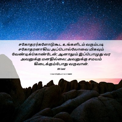 Picture 06 - 1 கொரிந்தியர் 16:12 TAMIRV - சகோதரர்களோடுகூட - Bible Verse Picture