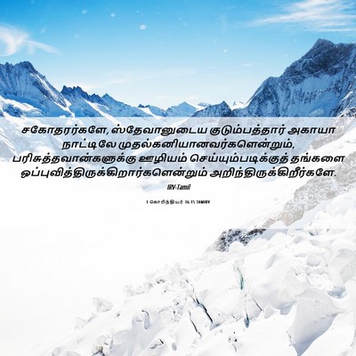 Picture 06 - 1 கொரிந்தியர் 16:15 TAMIRV - சகோதரர்களே, - Bible Verse Picture