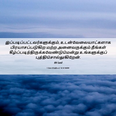 Picture 06 - 1 கொரிந்தியர் 16:16 TAMIRV -  - Bible Verse Picture