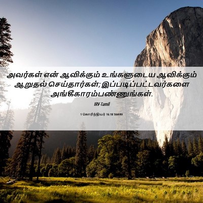 Picture 06 - 1 கொரிந்தியர் 16:18 TAMIRV - அவர்கள் என் - Bible Verse Picture