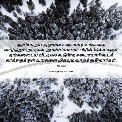 Picture 06 - 1 கொரிந்தியர் 16:19 TAMIRV - ஆசியா நாட்டிலுள்ள - Bible Verse Picture