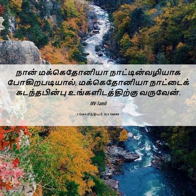 Picture 06 - 1 கொரிந்தியர் 16:5 TAMIRV - நான் மக்கெதோனியா - Bible Verse Picture