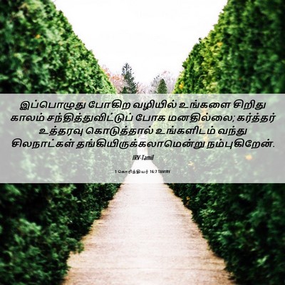 Picture 06 - 1 கொரிந்தியர் 16:7 TAMIRV - இப்பொழுது போகிற - Bible Verse Picture