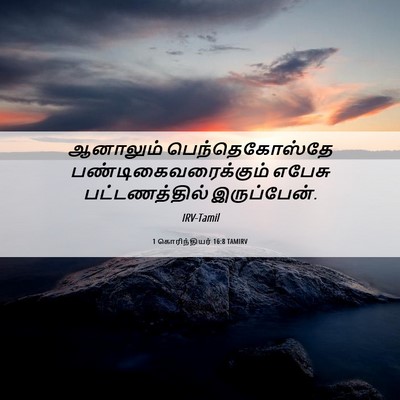 Picture 06 - 1 கொரிந்தியர் 16:8 TAMIRV - ஆனாலும் - Bible Verse Picture