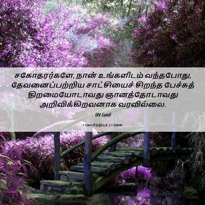 Picture 06 - 1 கொரிந்தியர் 2:1 TAMIRV - சகோதரர்களே, நான் - Bible Verse Picture