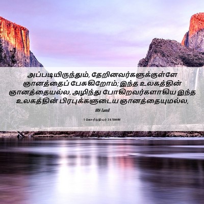 Picture 06 - 1 கொரிந்தியர் 2:6 TAMIRV - அப்படியிருந்தும், - Bible Verse Picture
