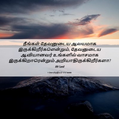 Picture 06 - 1 கொரிந்தியர் 3:16 TAMIRV - நீங்கள் தேவனுடைய - Bible Verse Picture
