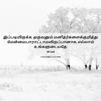 Picture 06 - 1 கொரிந்தியர் 3:21 TAMIRV - இப்படியிருக்க, - Bible Verse Picture