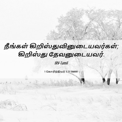 Picture 06 - 1 கொரிந்தியர் 3:23 TAMIRV - நீங்கள் - Bible Verse Picture