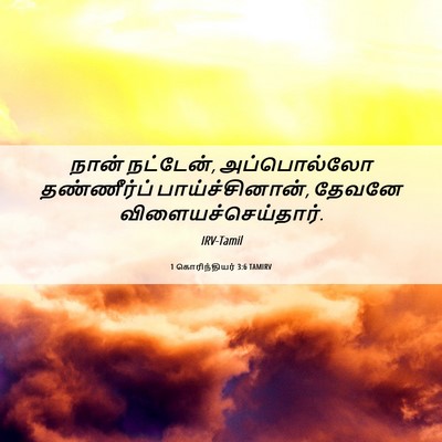 Picture 06 - 1 கொரிந்தியர் 3:6 TAMIRV - நான் நட்டேன், - Bible Verse Picture