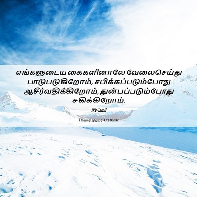 Picture 06 - 1 கொரிந்தியர் 4:12 TAMIRV - எங்களுடைய - Bible Verse Picture