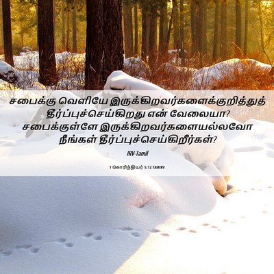 Picture 06 - 1 கொரிந்தியர் 5:12 TAMIRV - சபைக்கு வெளியே - Bible Verse Picture