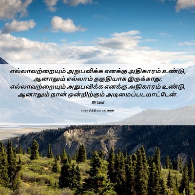 Picture 06 - 1 கொரிந்தியர் 6:12 TAMIRV - எல்லாவற்றையும் - Bible Verse Picture