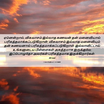 Picture 06 - 1 கொரிந்தியர் 7:14 TAMIRV - ஏனென்றால், - Bible Verse Picture