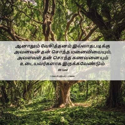 Picture 06 - 1 கொரிந்தியர் 7:2 TAMIRV - ஆனாலும் - Bible Verse Picture