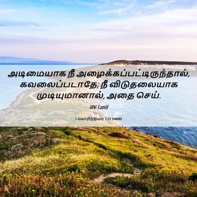 Picture 06 - 1 கொரிந்தியர் 7:21 TAMIRV - அடிமையாக நீ - Bible Verse Picture