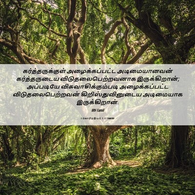 Picture 06 - 1 கொரிந்தியர் 7:22 TAMIRV - கர்த்தருக்குள் - Bible Verse Picture