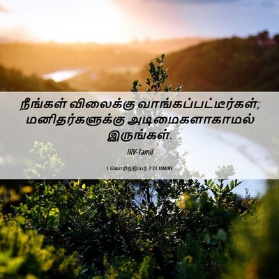 Picture 06 - 1 கொரிந்தியர் 7:23 TAMIRV - நீங்கள் விலைக்கு - Bible Verse Picture