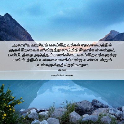 Picture 06 - 1 கொரிந்தியர் 9:13 TAMIRV - ஆசாரிய ஊழியம் - Bible Verse Picture