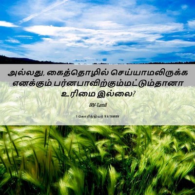 Picture 06 - 1 கொரிந்தியர் 9:6 TAMIRV - அல்லது, - Bible Verse Picture