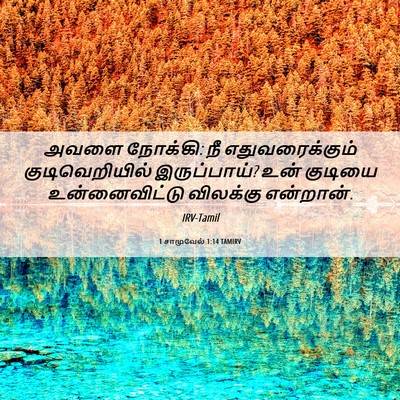 Picture 06 - 1 சாமுவேல் 1:14 TAMIRV - அவளை நோக்கி: நீ - Bible Verse Picture